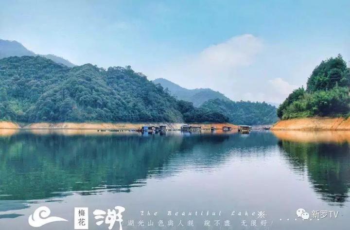 龙岩旅游"七景区"强势来袭! 第五站:新罗龙岩洞文化旅游区_南非_新闻_
