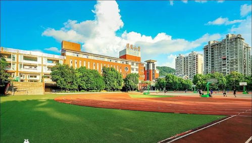 都说长汀发展好 城里人多 热闹 汀州镇106247全市排第四 大同镇90739第六 城区人口合计...