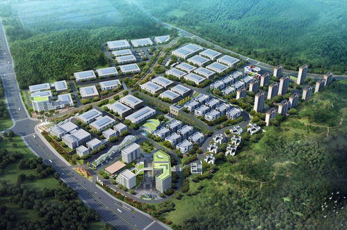 写在新罗区百日攻坚大会战圆满收官之际——龙岩新罗旅游的新篇章