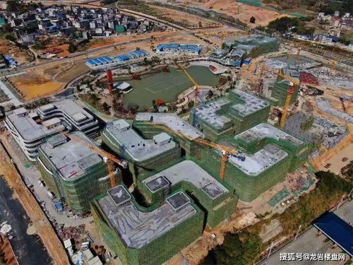 龙岩城北板块 新罗旅游新动力，配套升级价值腾飞