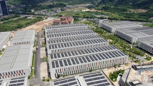 龙岩新罗 招商引资“半年报”亮点纷呈，时间任务双过半，聚力“招大引强”为旅游发展注入新动能