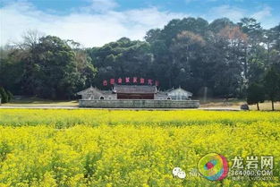 这才是开往中国最美春天的铁路 龙岩新罗，邂逅一场春暖花开的山水盛宴